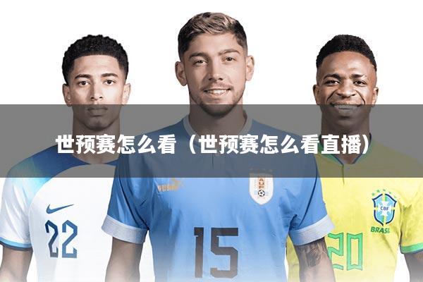 世预赛怎么看（世预赛怎么看直播）