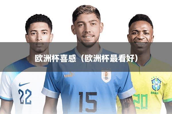 欧洲杯喜感（欧洲杯最看好）